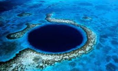 Video: Bí ẩn dưới hố sụt khổng lồ sâu 125m ngoài khơi Belize