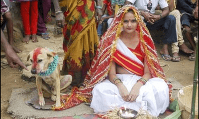 Phong tục kỳ lạ: Người kết hôn với thú cưng để xua đuổi tà ma