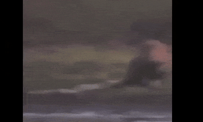 Video: Báo đốm hạ sát trăn Nam Mỹ khổng lồ rồi lôi 