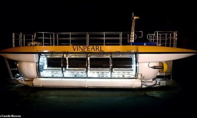 Ông chủ Vingroup mua tàu ngầm DeepView24 cho du khách Vinpearl trải nghiệm