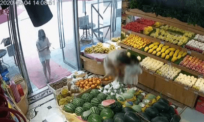 Phẫn nộ người đàn ông cưỡng hôn bé gái ngay trong cửa hàng hoa quả
