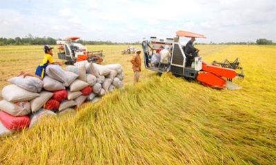 Vĩnh Long phê duyệt đề án xây dựng bảo tàng nông nghiệp 400 tỷ đồng