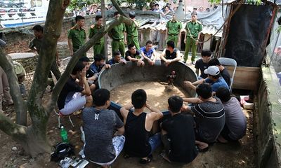 Bắc Ninh: Bắt quả tang 15 đối tượng chơi đá gà, thu giữ hàng chục triệu đồng