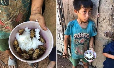 Vụ 4 đứa trẻ Đắk Lắk ăn cơm nguội với ve sầu: Lãnh đạo huyện nói do 