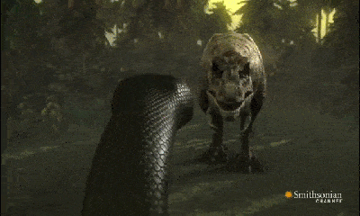 Video: Tử chiến kinh hoàng giữa trăn khổng lồ và khủng long bạo chúa, phần thắng thuộc về ai?
