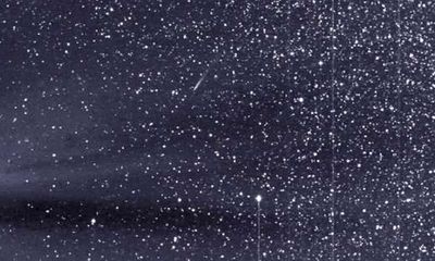 Video: Sao chổi bay qua gió Mặt Trời được tàu NASA ghi lại