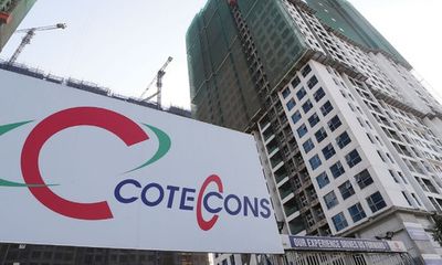 Coteccons sẽ có 2 đại diện pháp luật?