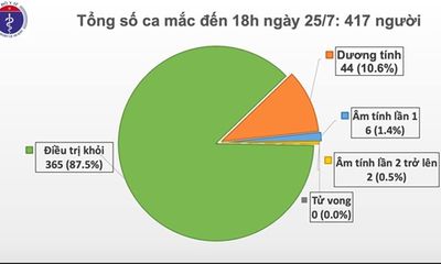 Thêm 2 ca bệnh COVID-19, Việt Nam có 417 ca bệnh