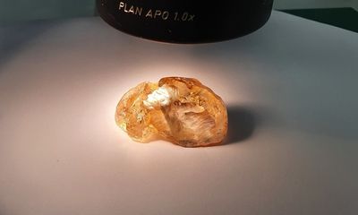 Phát hiện viên kim cương thô màu vàng đậm trăm triệu năm tuổi lớn nhất ở Nga