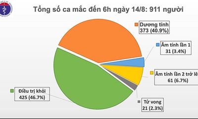 Thêm 6 ca mắc mới COVID-19 ở Hải Dương, Quảng Nam, Việt Nam có 911 bệnh nhân