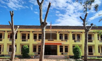 Trường THCS ở Nghệ An chặt trụi hàng loạt cây xanh: Lãnh đạo sở GD&ĐT nói gì?