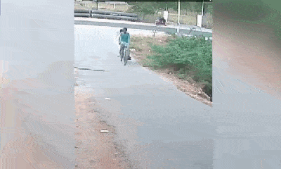 Video: Rắn hổ mang bất ngờ bị cuốn vào bánh xe, 2 người đàn ông bỏ chạy trối chết