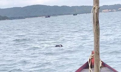 Phát hiện thi thể người đàn ông trôi dạt trên biển ở Cô Tô
