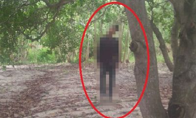 Điều tra vụ nam thanh niên chết trong tư thế treo lơ lửng trên cành cây trong rừng