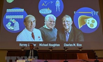 Giải Nobel Y học 2020 “gọi tên” ba nhà khoa học với nghiên cứu về viêm gan C