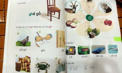 Sách giáo khoa Tiếng Việt lớp 1 mới: Đang trang 32 lại đến... trang 17