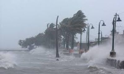 Áp thấp nhiệt đới đã mạnh lên thành bão Saudel, gió giật cấp 10