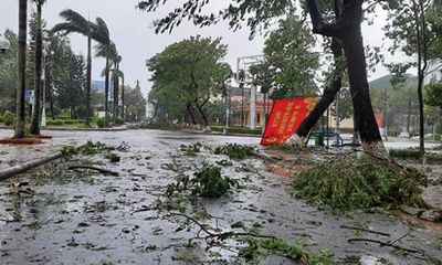 Cận cảnh sức phá hoại khủng khiếp của bão số 9 đổ bộ vào Quảng Ngãi: Cây xa la liệt đổ, thổi bay mái tôn
