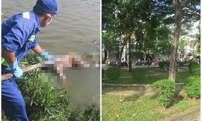 Ngửi thấy mùi hôi, hoảng hồn phát hiện thi thể nam giới trôi trên sông Sài Gòn