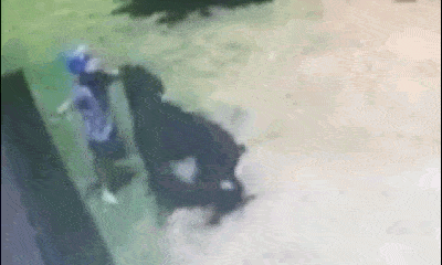 Video: Bé trai vẫy vùng bỏ chạy khỏi sự tấn công 