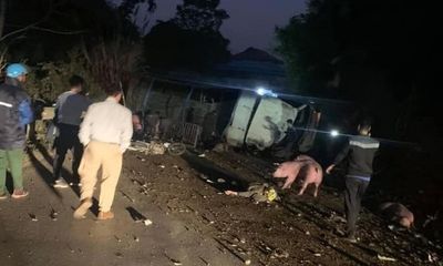 Tin tai nạn giao thông mới nhất ngày 8/12: Va chạm với xe chở lợn, 2 cha con tử vong thương tâm