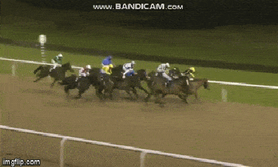 Video: Vận động viên đua ngựa thoát chết 