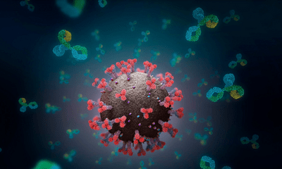 Xác định chủng virus SARS-CoV-2 trội nhất, dễ lây lan tại Mỹ