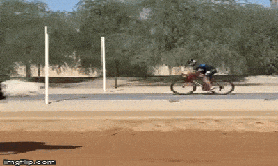 Video: Thái tử Dubai đạp xe đua với đà điểu khổng lồ, dân mạng hồi hộp kết quả