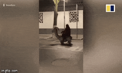 Video: Phi ngựa đồ chơi từ công viên về nhà, cụ bà bị cảnh sát 