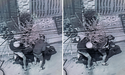 Vụ nhà Thành Đạt - Hải Băng bị trộm cây mai 50 triệu đồng: Camera thu hình ảnh gì?