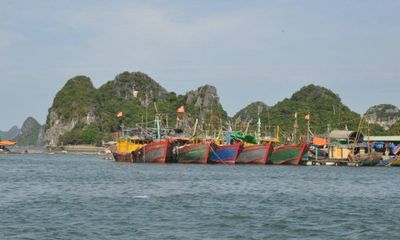 Vụ thi thể 2 vợ chồng ngư dân trôi dạt trên vịnh Bái Tử Long: Nạn nhân mới đi làm được một ngày