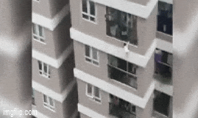 Video: Khoảnh khắc bé gái 3 tuổi tuột tay, rơi từ tầng 12 chung cư ở Hà Nội