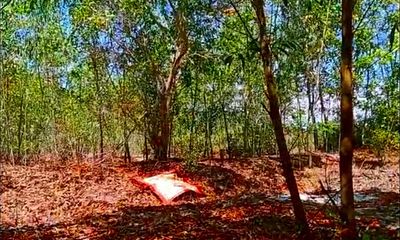 Kinh hãi phát hiện thi thể treo cổ trong rừng tràm: Trưng cầu giám định tử thi