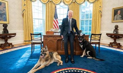 Chó cưng của Tổng thống Biden phải 