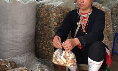 Phương pháp chữa đau nhức xương khớp độc đáo giúp ngàn người thoát khỏi cảnh đau đớn của lương y Triệu Thị Hòa