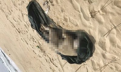 Bình Định: Tá hỏa phát hiện thi thể chưa rõ giới tính trôi dạt vào bờ biển