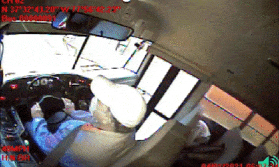 Video: Hươu chạy xuyên thủng lớp kính chắn gió xe buýt khiến hành khách thất kinh
