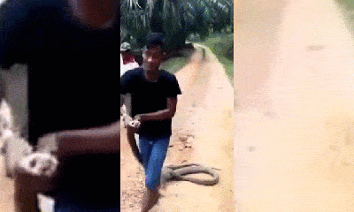 Video: Kinh hãi cảnh thanh niên dùng tay không bắt sống rắn hổ mang chúa 