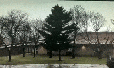 Video: Khoảnh khắc sét đánh, khiến cây xanh rực sáng
