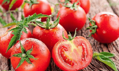 Cà chua tuy bổ dưỡng nhưng tuyệt đối không được kết hợp với các loại thực phẩm này