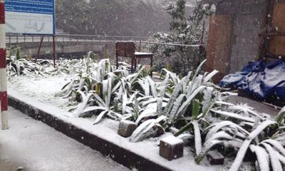 Dân mạng thích thú cảnh tượng tuyết rơi ở Sapa