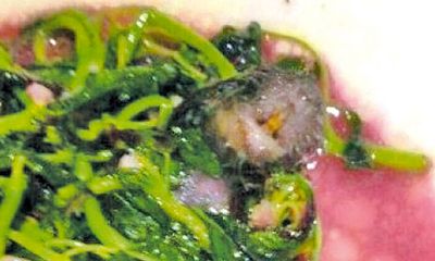 Kinh hãi phát hiện chuột chết trong đĩa rau tại nhà hàng