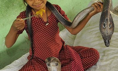 Kinh hãi bé gái 11 tuổi ăn, ngủ cùng rắn hổ mang chúa