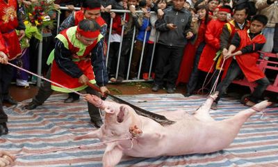 Báo nước ngoài nói về lễ hội chém lợn ở Bắc Ninh