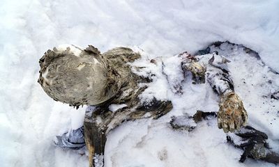 Kinh hãi hai “xác ướp” lộ diện trên ngọn núi cao nhất Mexico