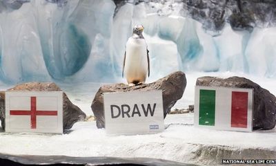 Tiên tri chim cánh cụt dự Italia sẽ cầm chân Anh 