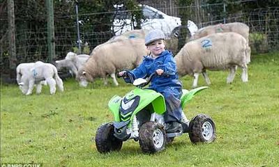 Cậu bé chăn cừu nhỏ tuổi nhất nước Anh siêu dễ thương