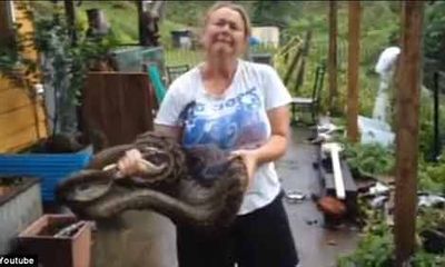 Trăn “khủng” dài 3,5 m nuốt chửng chó nhà 