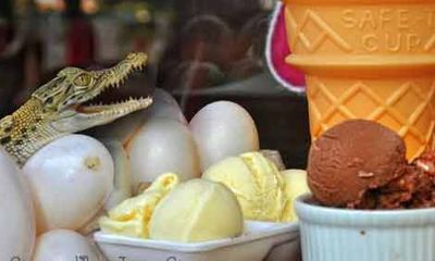 Độc đáo món kem làm từ trứng cá sấu