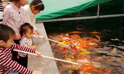Cá “bú bình” đã xuất hiện ở Việt Nam